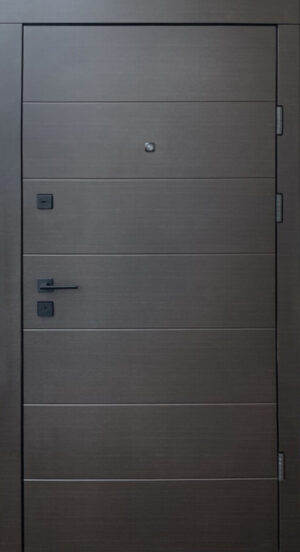 (Копія)Вхідні двері Преміум гібрид Тріоні АК